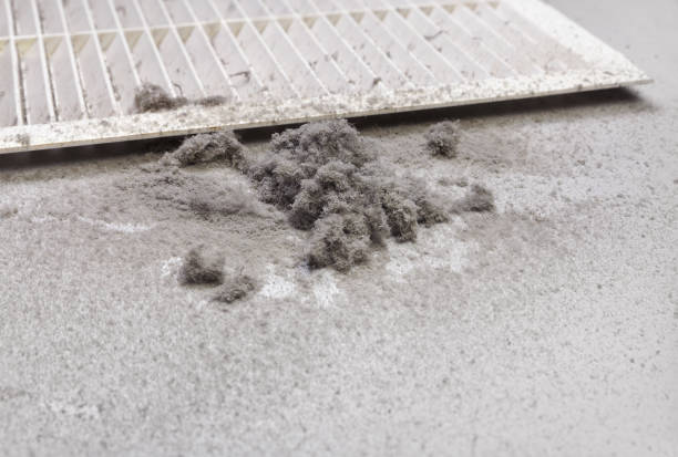 Best Affordable Air Duct Cleaning  in Moscow, PA